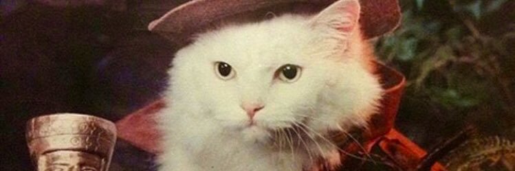 notwittylady's profile banner image