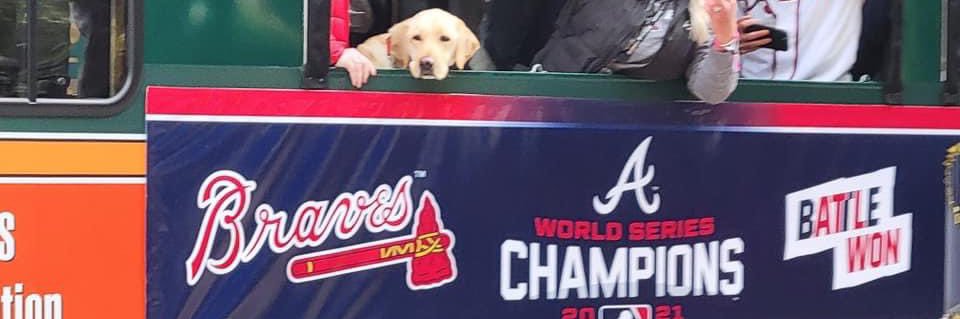 statkinson's profile banner image