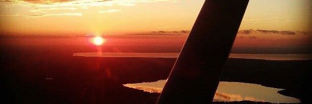 Os_bee's profile banner image
