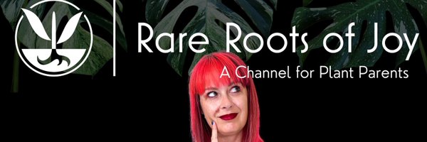 msscarpenter Profile Banner