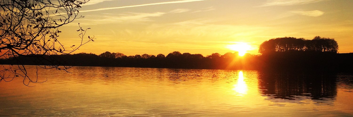 Ljxn__'s profile banner image