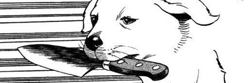 Poogaloo's profile banner image