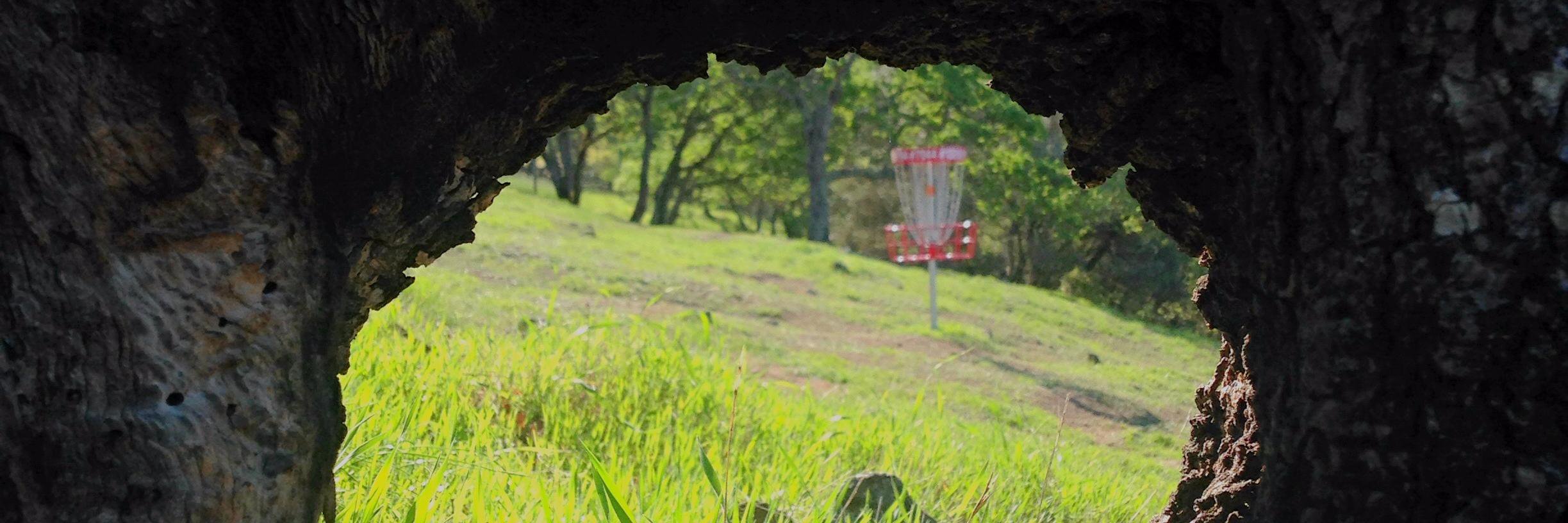 TheDiscPod's profile banner image