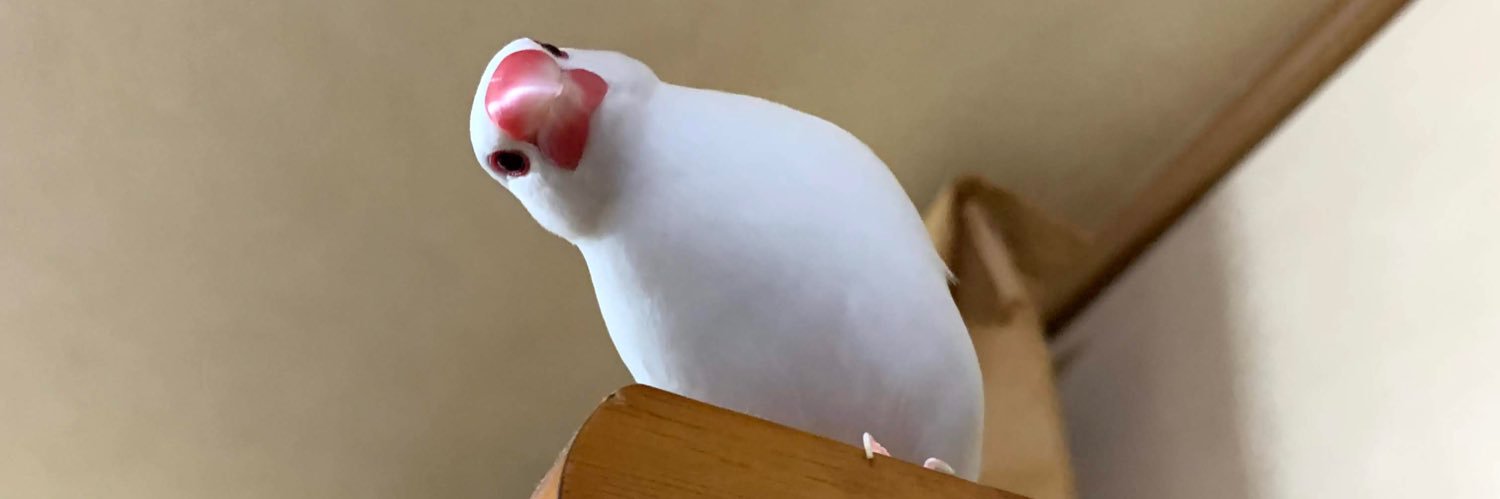 chunmaron's profile banner image