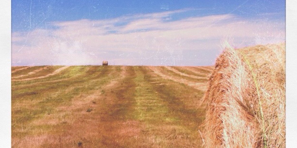 krisannmck's profile banner image