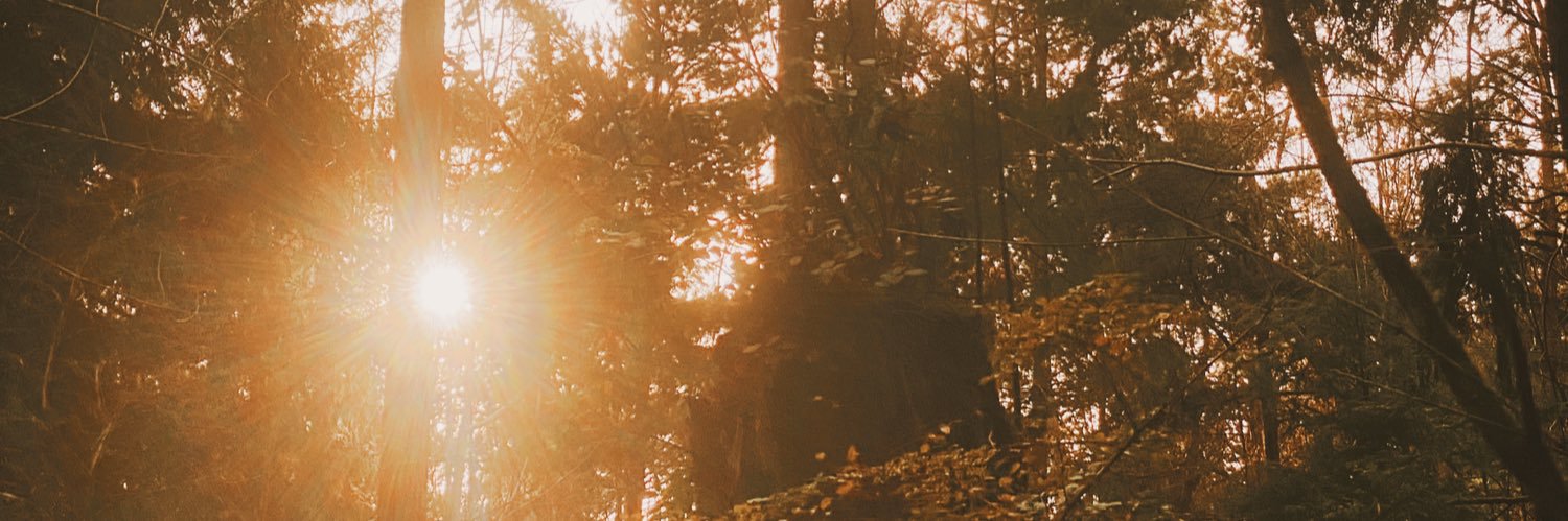 taylorcarthum's profile banner image