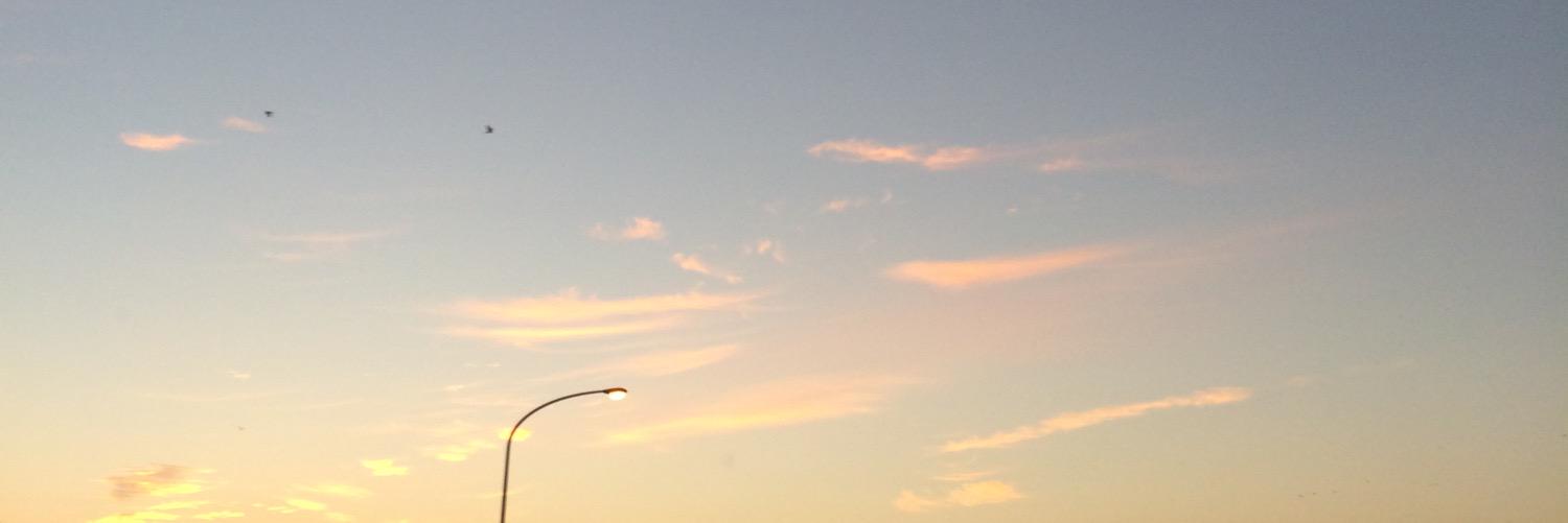 uzupppi's profile banner image
