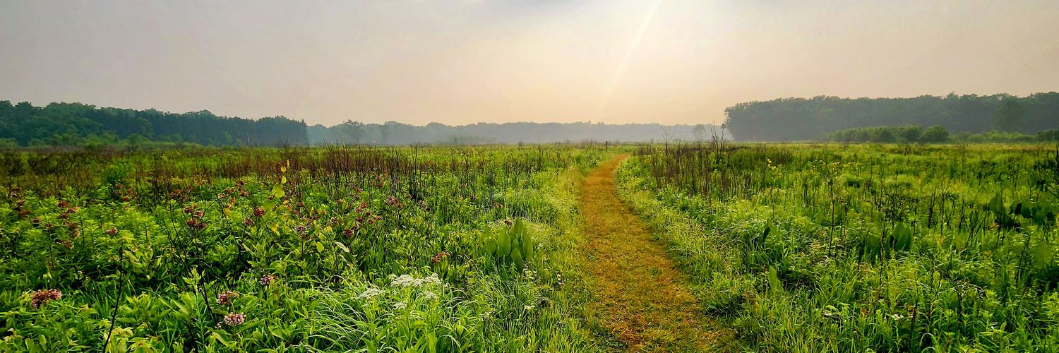 Mark Clements banner