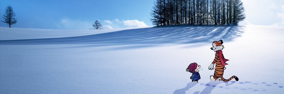 MWarchol22's profile banner image