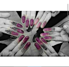 ShintaScoutneda's profile banner image