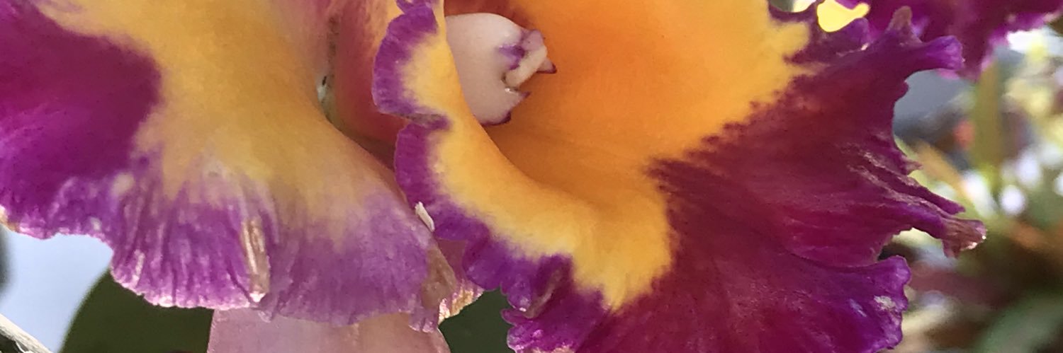 leesuzanbaker's profile banner image
