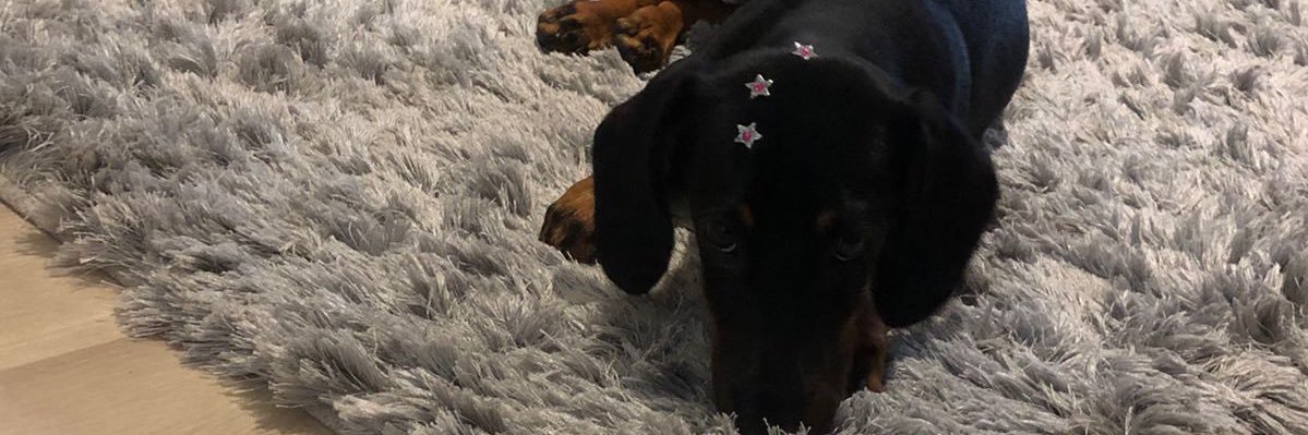 je_eny's profile banner image