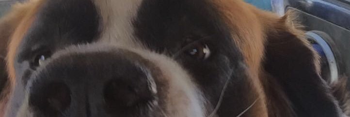 JaviCarvajalF's profile banner image