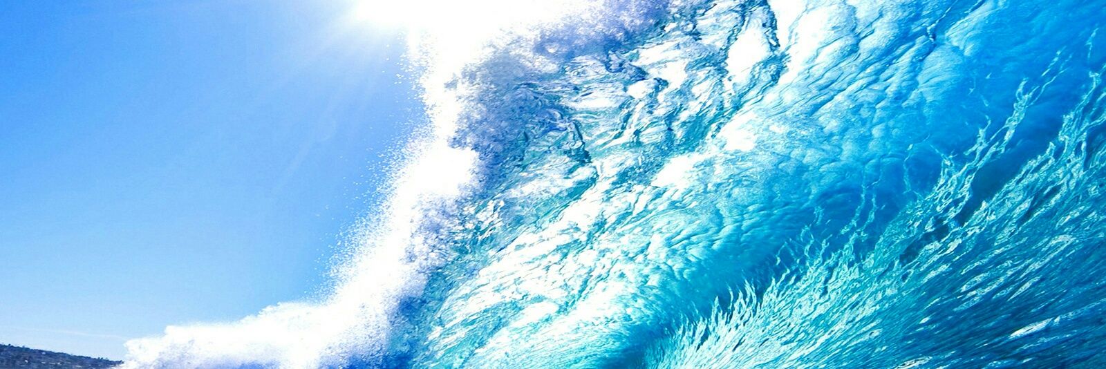 Le Roux Frederic banner