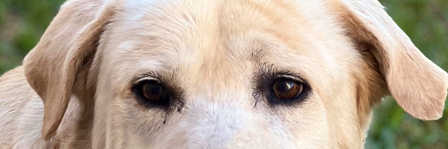 aye_berti's profile banner image