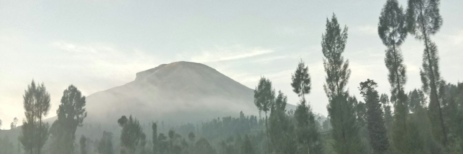 cokeRidho's profile banner image