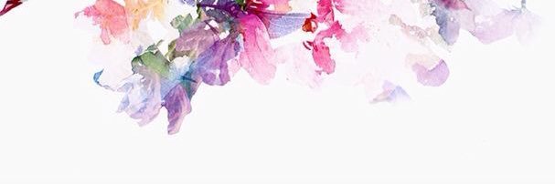 jansindol's profile banner image