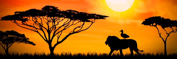 YZTK_ Profile Banner
