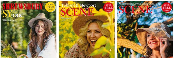 Scenetelford Profile Banner