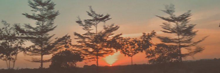 viraachandra's profile banner image