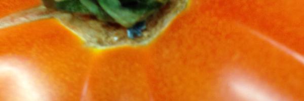 SanctuaryRest Profile Banner