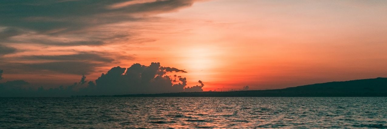 shdawson's profile banner image