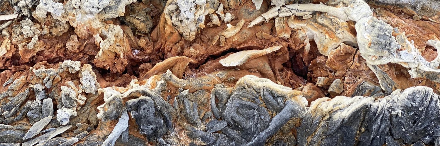 Solmaz Adeli (She/Her) banner