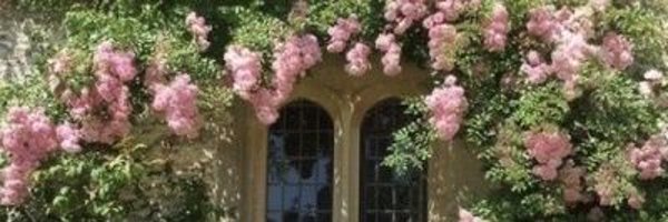 HopesDestroyed Profile Banner