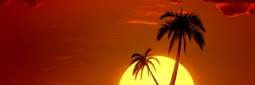 Rngururu's profile banner image