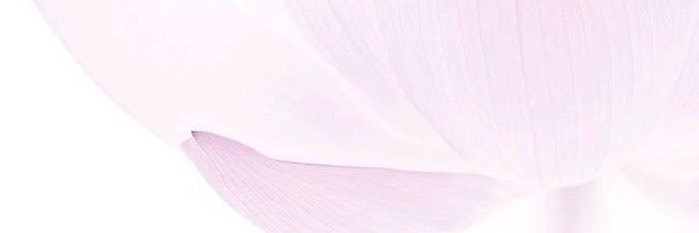 Tzuyuy's profile banner image
