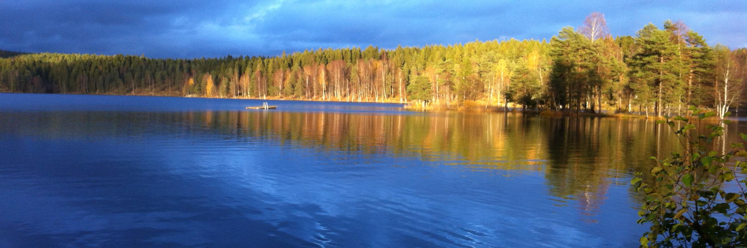 june_lystad's profile banner image