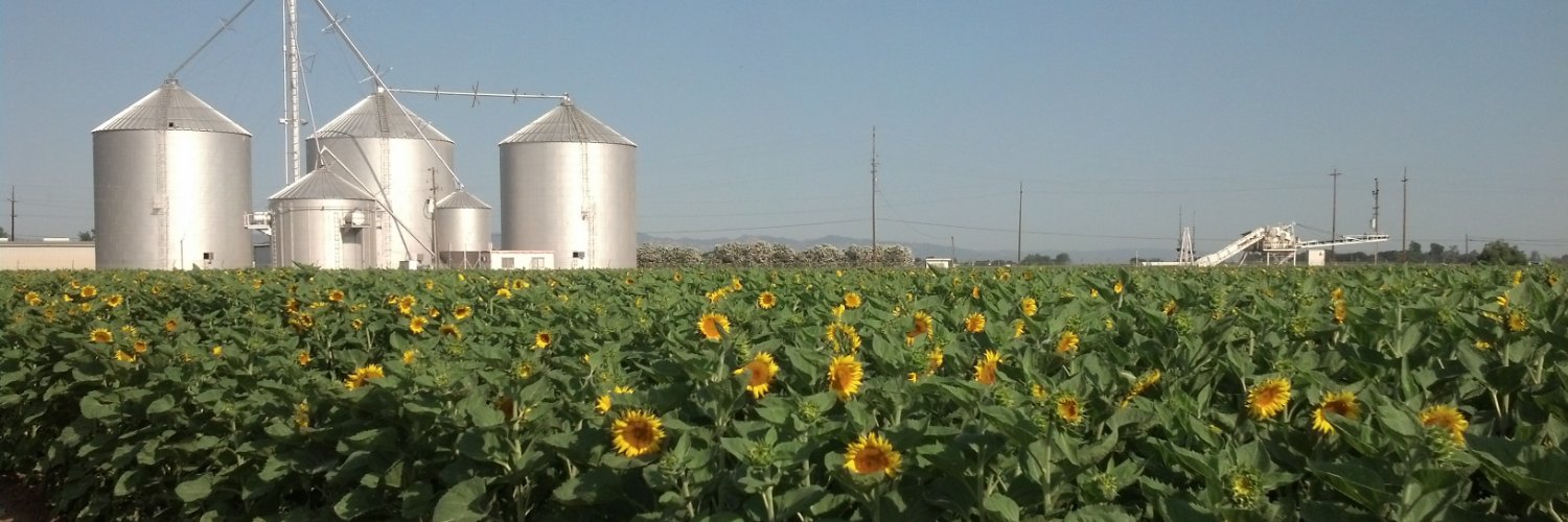 பேராசிரியர் Prem Devanbu banner