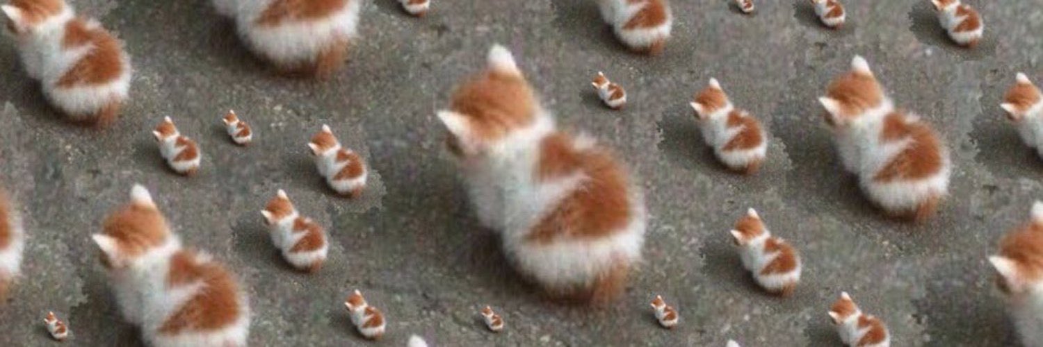 samuelroman98's profile banner image
