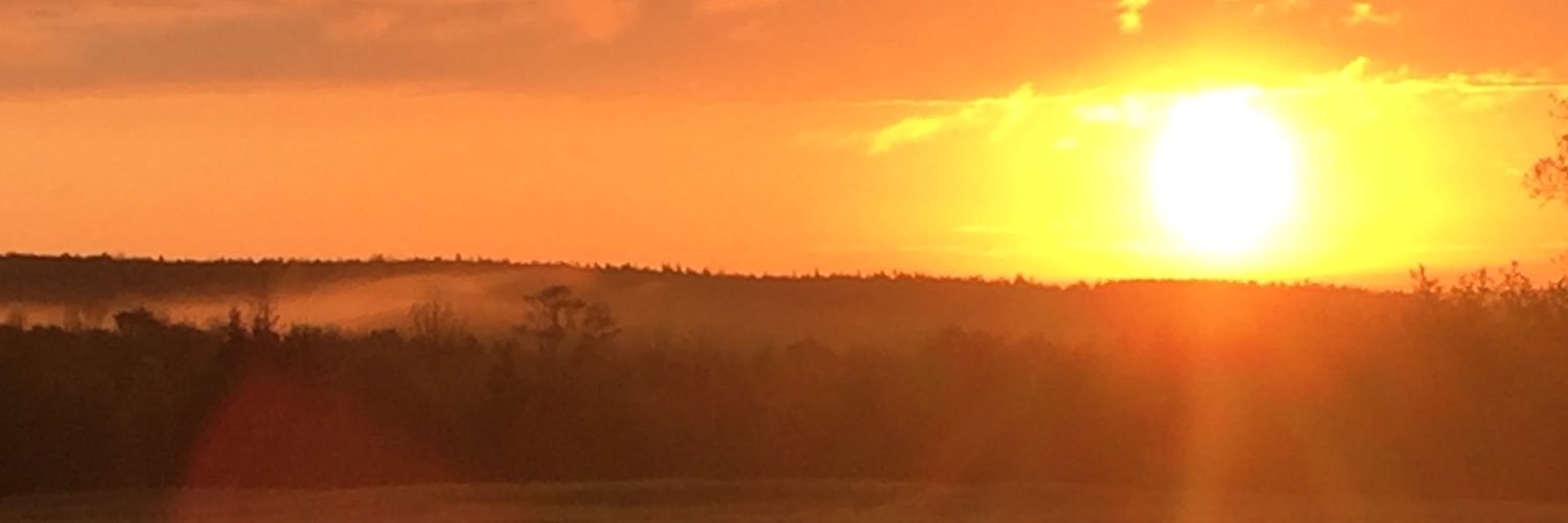 gunn_rae's profile banner image