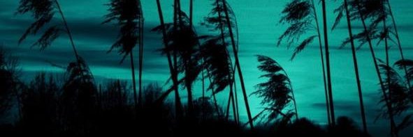 itsollyx's profile banner image