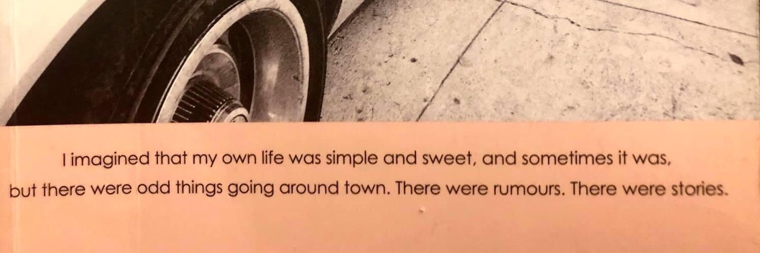 Cecilia Butini banner