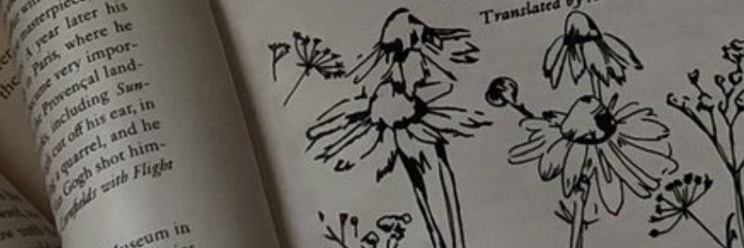 atabibay's profile banner image