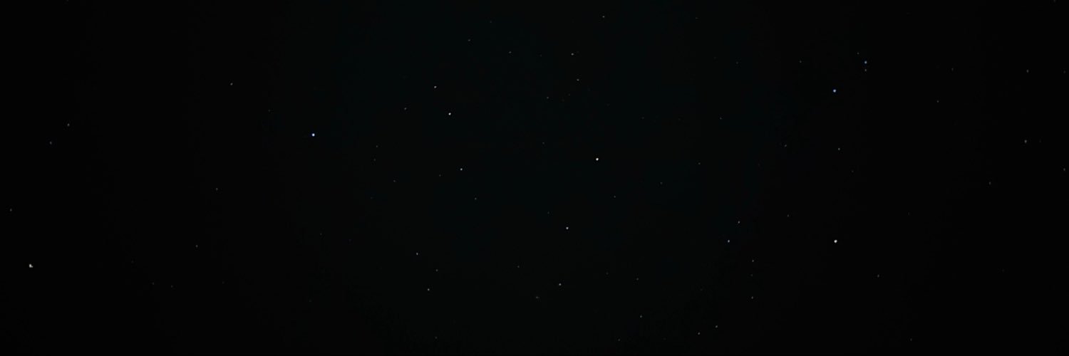 whenwishesbloom's profile banner image