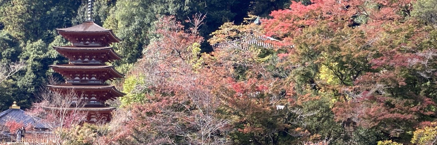 zintann88's profile banner image