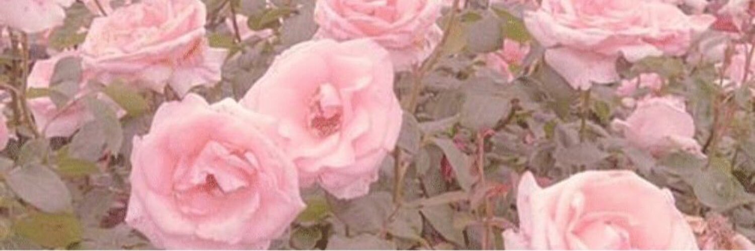 _____tagO823's profile banner image