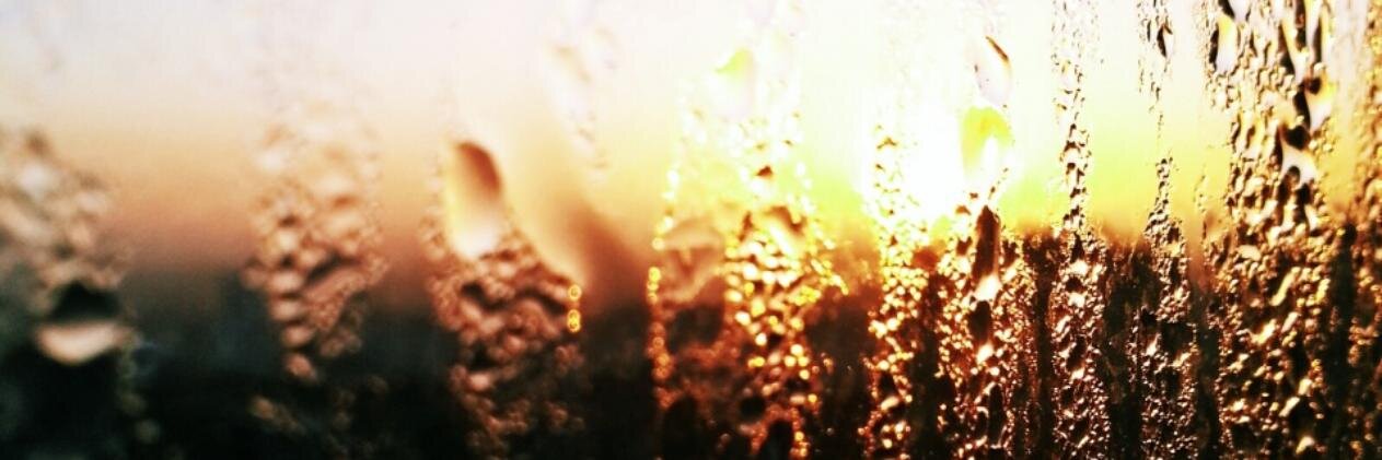 ze_dach's profile banner image