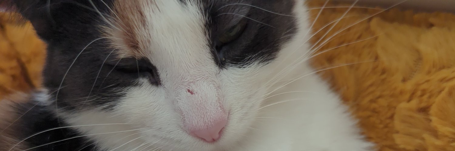 Omarichee's profile banner image