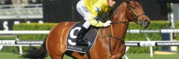samkavracing Profile Banner