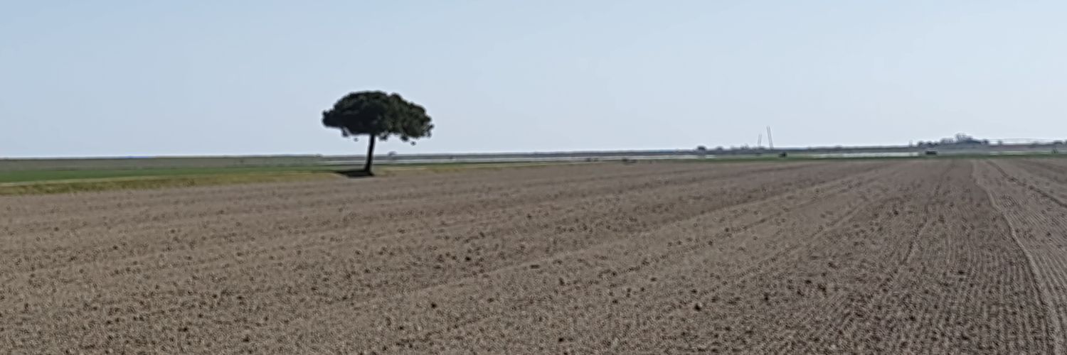 MatteoBassioni's profile banner image