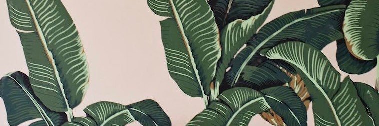 ciara_fitzx's profile banner image