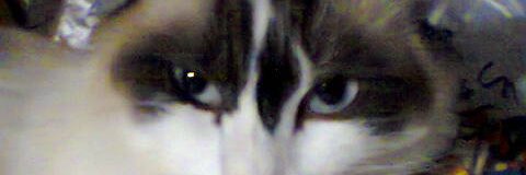 maxianis's profile banner image