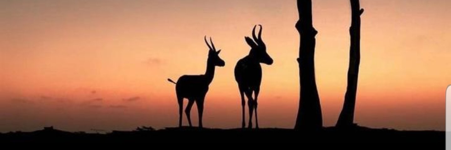 BIKTOP50's profile banner image