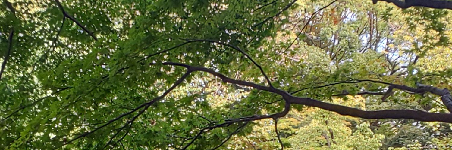 an08030916's profile banner image