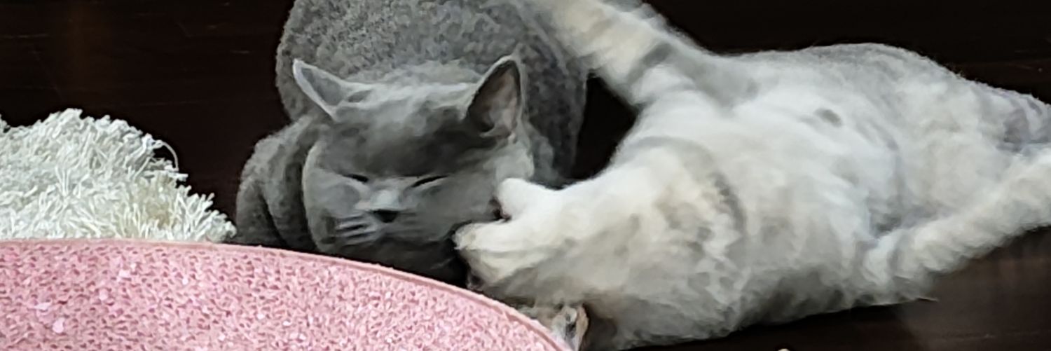 ahsgkyn's profile banner image