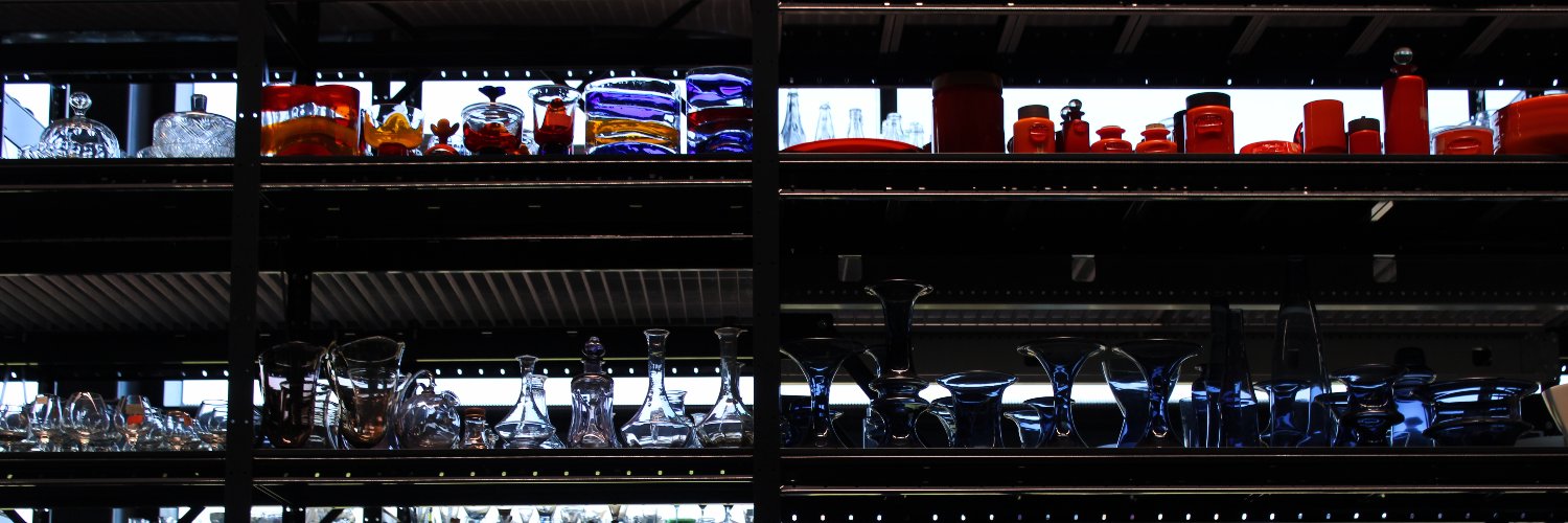 Dr Camilla Bertini banner